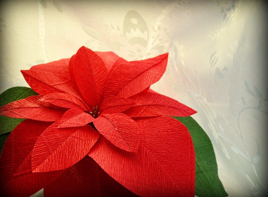 It's been a little while since I've made any #paperflowers, so I thought I'd #embracetheseasons by creating this #paperpoinsettia for our #Christmastable. Think I'll look to making some bespoke paper #poinsettias next #Christmas, what do you think?