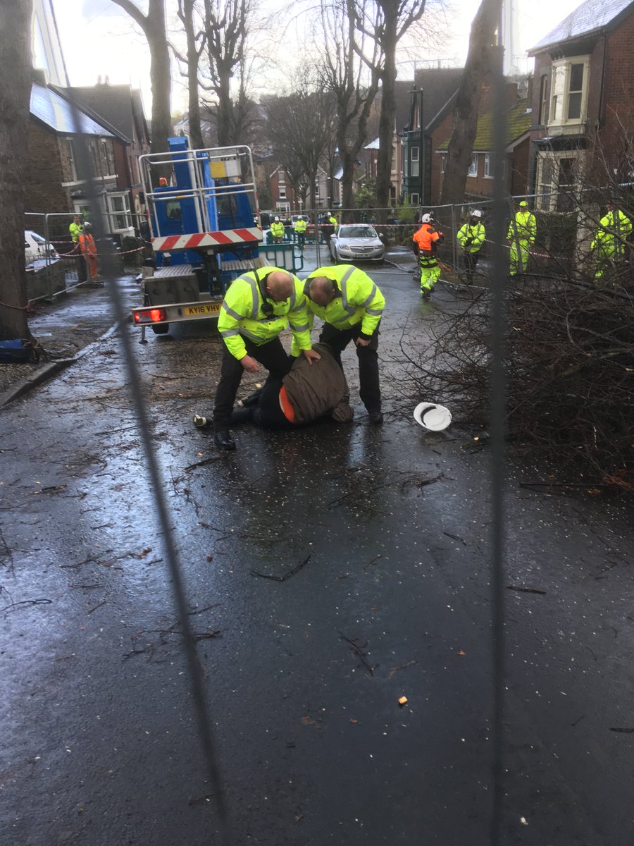 BlueLineSheff's tweet image. bluelinenews.jusweb.co.uk/amey-accused-o…

@SheffCouncil contractor, Amey, said to be 'ramping up intimidation' towards STAG. #SaveOurTrees #SaveSheffTrees