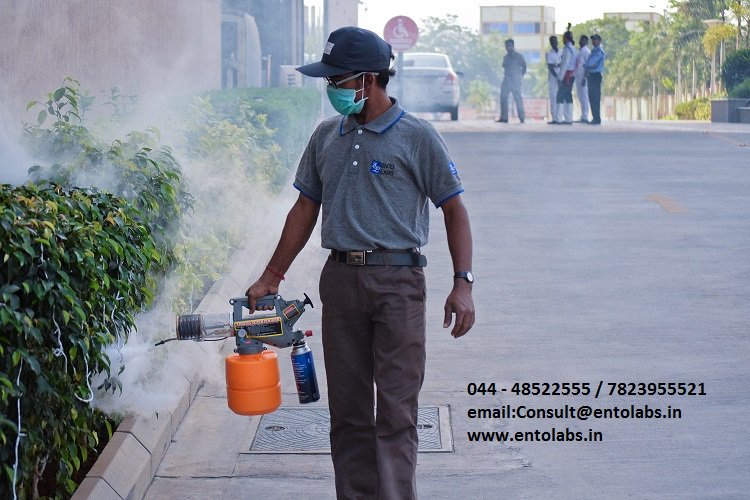 EntolabsPest's tweet image. Pest Control, Pest Control Chennai, Mosquito ControlEntolabs Mosquit..For more info visit... pestcontrolserviceinchennai.com/bizFloat/5a320…