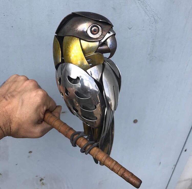 aviarioparman's tweet photo. A ver...especie y mutación? https://t.co/q0g8nPQCt8