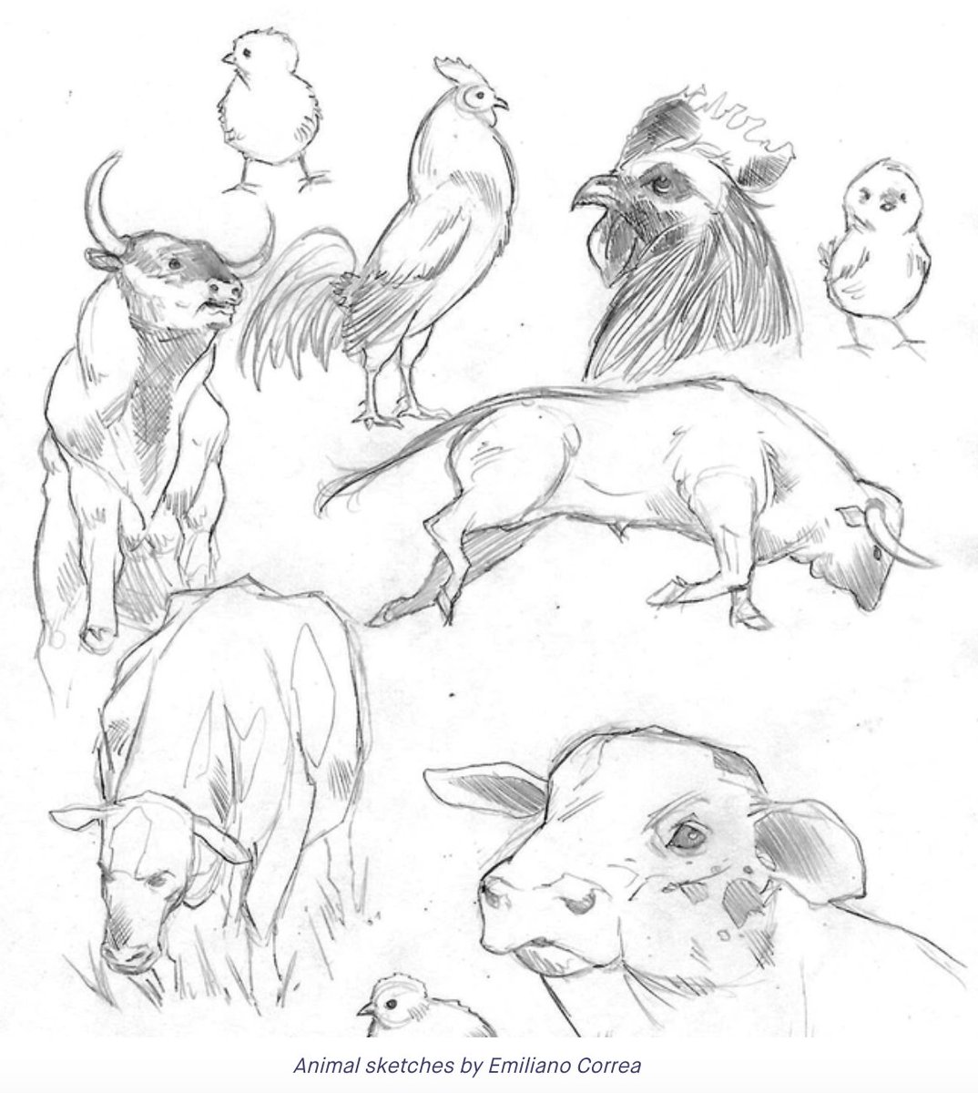 swoitadesign's tweet image. Murder is a #GraphicNovel where, one species at a time, domesticated #animals begin to link telepathically. The story will follow the sole human, an #AnimalRights activist, who is able to link with them. 
@wowcool @AltComics kickstarter.com/projects/32620…