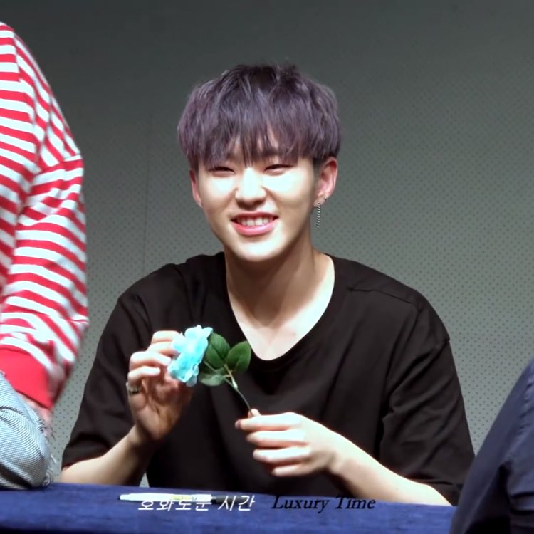 low quality hoshi (@lowquaiityhoshi) on Twitter photo 