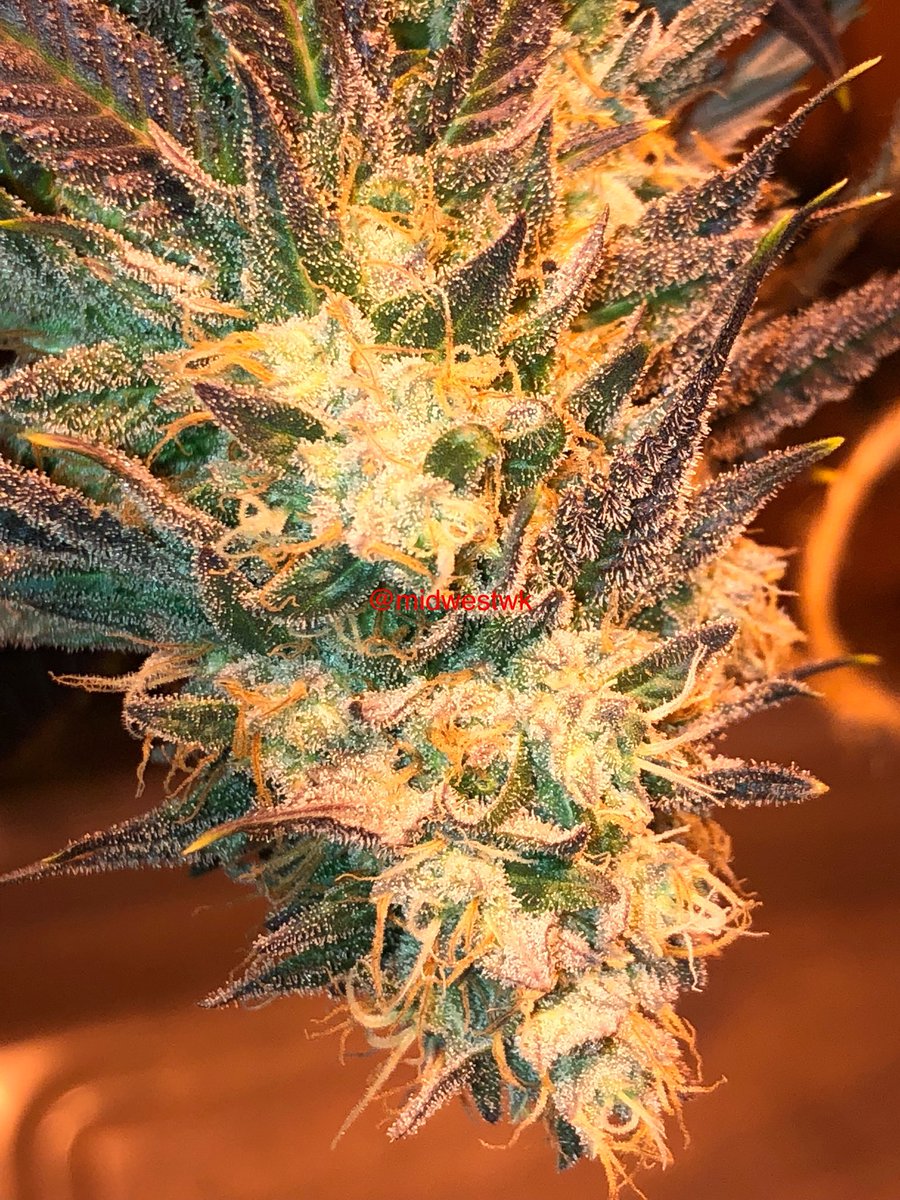 Smells so good in the garden