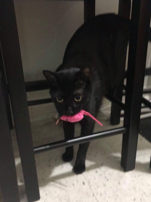 Grrrr https://t.co/26RfXfbJqT