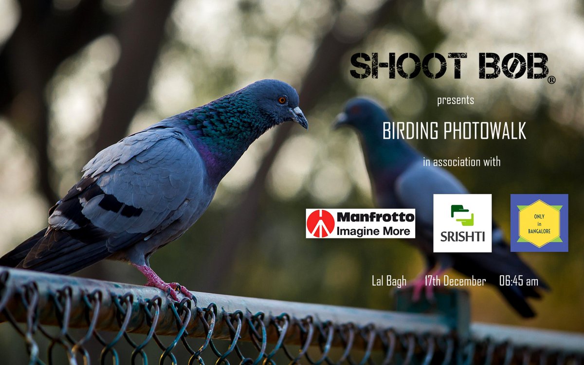 Have you registered yet? 

It's FREE

Register here : shootbob.com/birding-photo-…

In association with Only In Bangalore & @manfrotto_tweet 

#photography #nature #lalbagh #photographyevent #weekendevent #olyinbang #Bengaluruevent #shootbob #lovephotography #birding