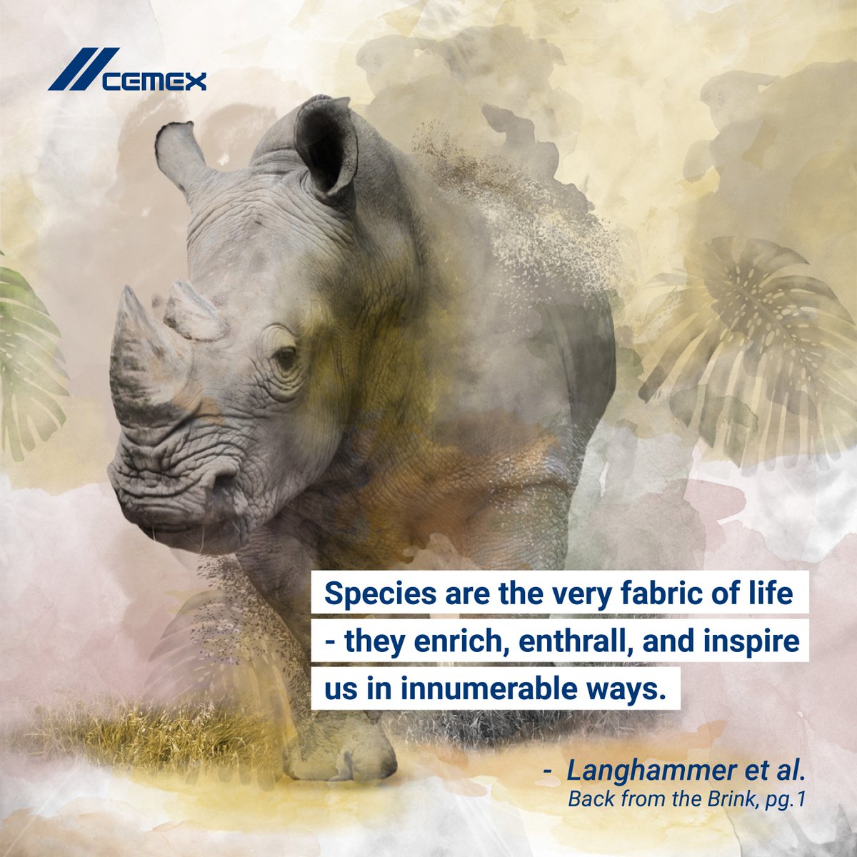CEMEX's tweet photo. This year marks the 25th anniversary of our commitment to raising awareness about the importance of preserving our planet’s wildlife through our Conservation Book Series. Join the conversation. #LetsTalkNature https://t.co/icrpAR1VPr