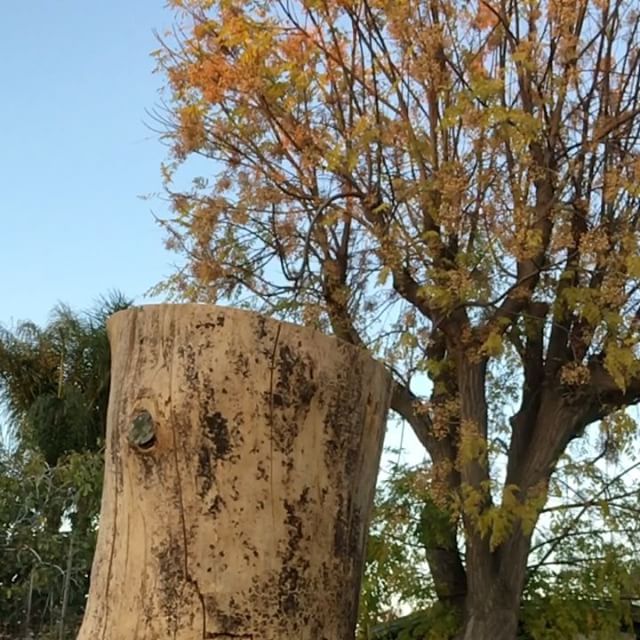 cwragronomy's tweet photo. Surprise at the end #helkovario2000 #helkovario #vario2000 #logsplitter #splittingmaul #splittingaxe #logsplitting #logsplitters #maul #woodmaul #slowmo #slowmotion #slowmotionvideo https://t.co/DbD2eHzz5O