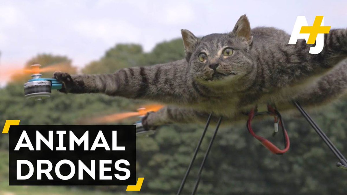 Dead Animal Drones From The Ostrichcopter To The Sharkjet Meet The