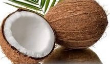 Kelapa (Cocos nucifera) adalah anggota tunggal dalam marga Cocos dari suku aren-arenan atau Arecaceae. Tumbuhan ini dimanfaatkan hampir semua bagiannya oleh manusia sehingga dianggap sebagai tumbuhan serbaguna. 
sjinternasional.com