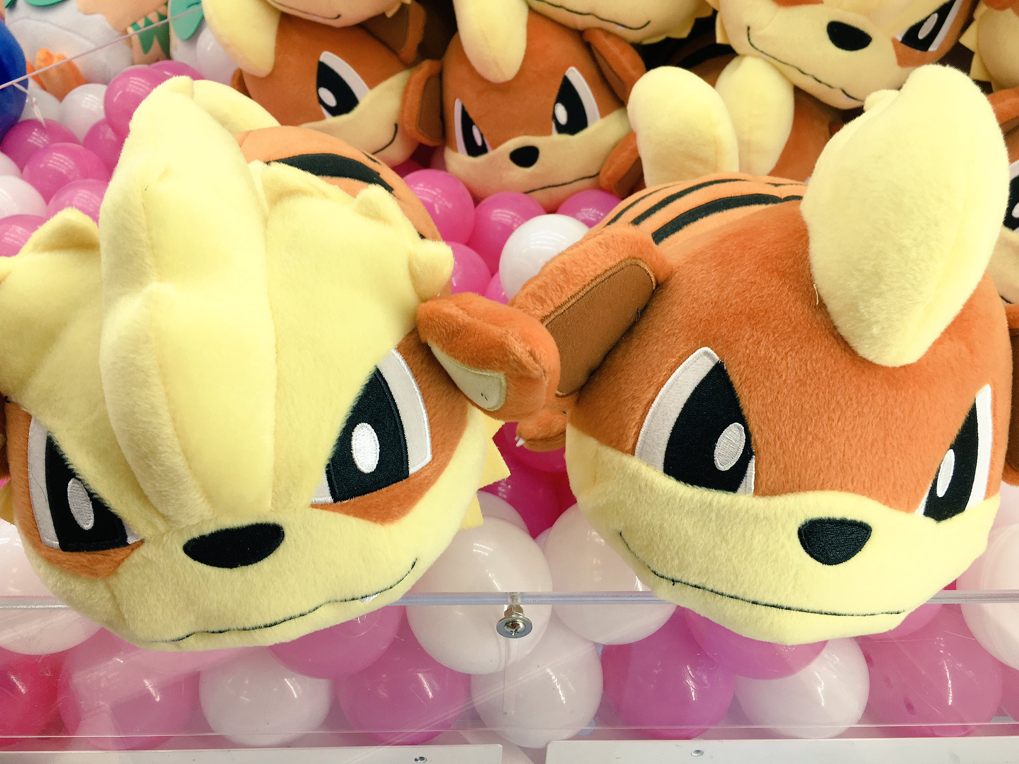تويتر タイトーステーション 大須店 على تويتر プライズ ポケットモンスター サン ムーン ころりんフレンズ でっかいぬいぐるみ ガーディ ウインディ 入荷してます 大人気ころりんフレンズシリーズ ガーディ ウインディの登場です ﾟ ﾟ