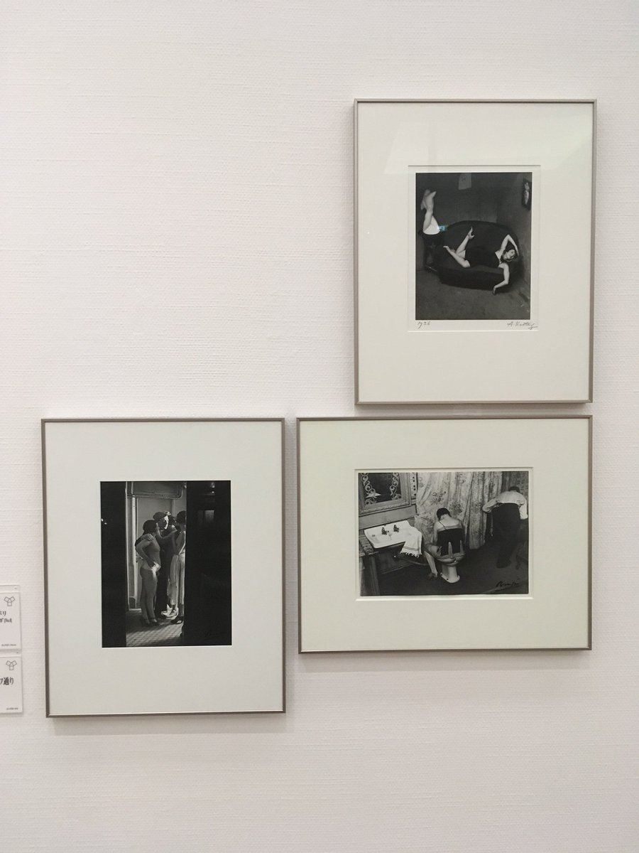 岡田昌浩 横浜美術館コレクション展 全部みせます シュールな作品 シュルレアリスムの美術と写真 022a マン レイ キキ ド モンパルナス メレット オッペンハイム メレット オッペンハイム メレット オッペンハイムとルイ マルクーシ 岡田昌浩 横浜美術館コレクション展 全部みせます シュールな作品 シュルレアリスムの美術と写真 022a マン レイ キキ ド モンパルナス メレット オッペンハイム メレット オッペンハイム メレット オッペンハイムとルイ マルクーシ