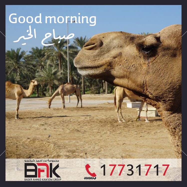 UcoEngineering's tweet image. #GoodMorning #Good_Morning #صباح_الخير #BAK #BAHRAIN #MANTECH #UCOENGINEERING #KAIKSOW #TILES #CERAMIC #CERAMICS #PORCELINE #PORCELAIN #SANITARY_WARE #SANITARYWARE #WASHBASIN #WASH_BASIN #البحرين #يوكو #يوكو_للهندسة #فلسطين #تقرير #Mantech #CCTV #منطق #حماية #System #security