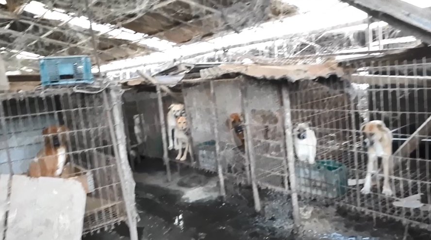 경기도 특별사법경찰단, 음식물 폐기물 처리업체 240개소 단속
- 무허가, 미승인 임시 보관장소 사용 등 부적정 처리업소 43개 적발
- 허가도 받지 않고 음식물 폐기물을 개 사료로 사용 하기도...