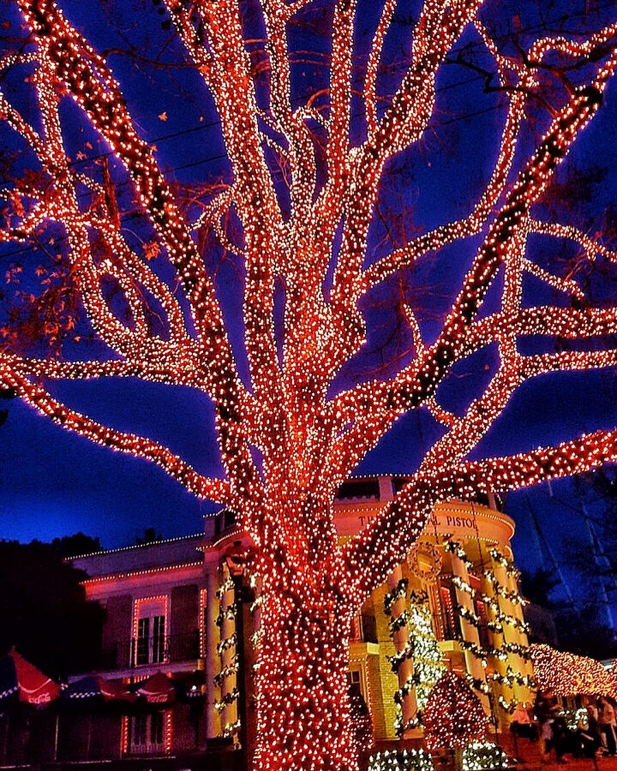 Christmas spirit 🎄 

Photo by Jack Martin Photo Art