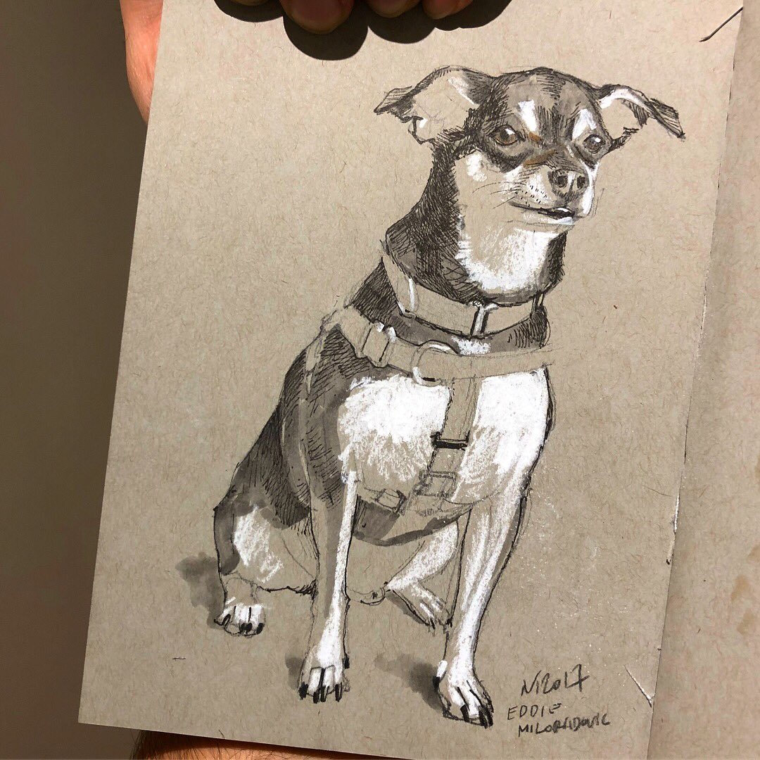 wrenchbone's tweet photo. Eddie made the cut for tonight. #eddie #dog #pup #artwork #drawing #Chihuahua https://t.co/UmyqW2SQgM