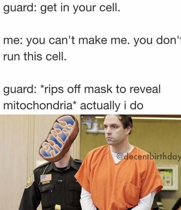 Chlorob1ast's tweet photo. Mitochondria are pretty great but just know that Chloroplasts are commin for ya #HHSCellection2017 https://t.co/30DklVTE9k