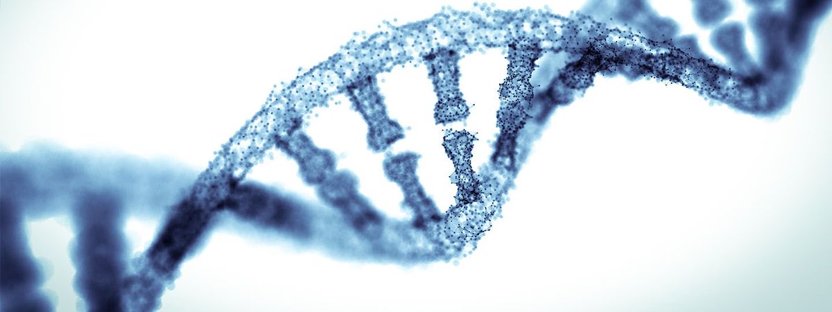 siddhartha265's tweet photo. Thanks to #healthcare technology advancements, the costs of genomic medicine and DNA sequencing have fallen dramatically in less than two decades.
#healthapp #healthtech #Healthy2017 #HealthIT
https://t.co/PeYmYpbLL0 https://t.co/zsnv8FGk8o