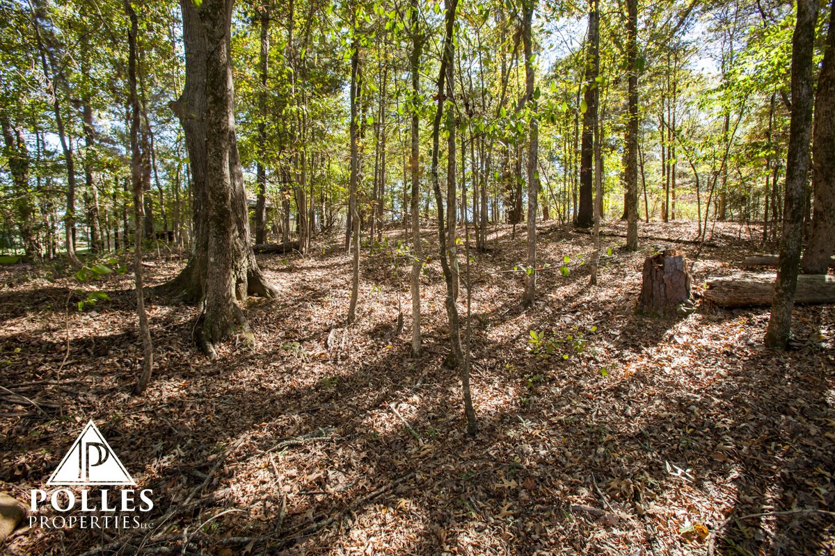 Polles_Prop's tweet image. Looking for the perfect place to build your next house? Take a look at our available lots! bit.ly/pp_lots_land #REALTOR #realestate #house #home