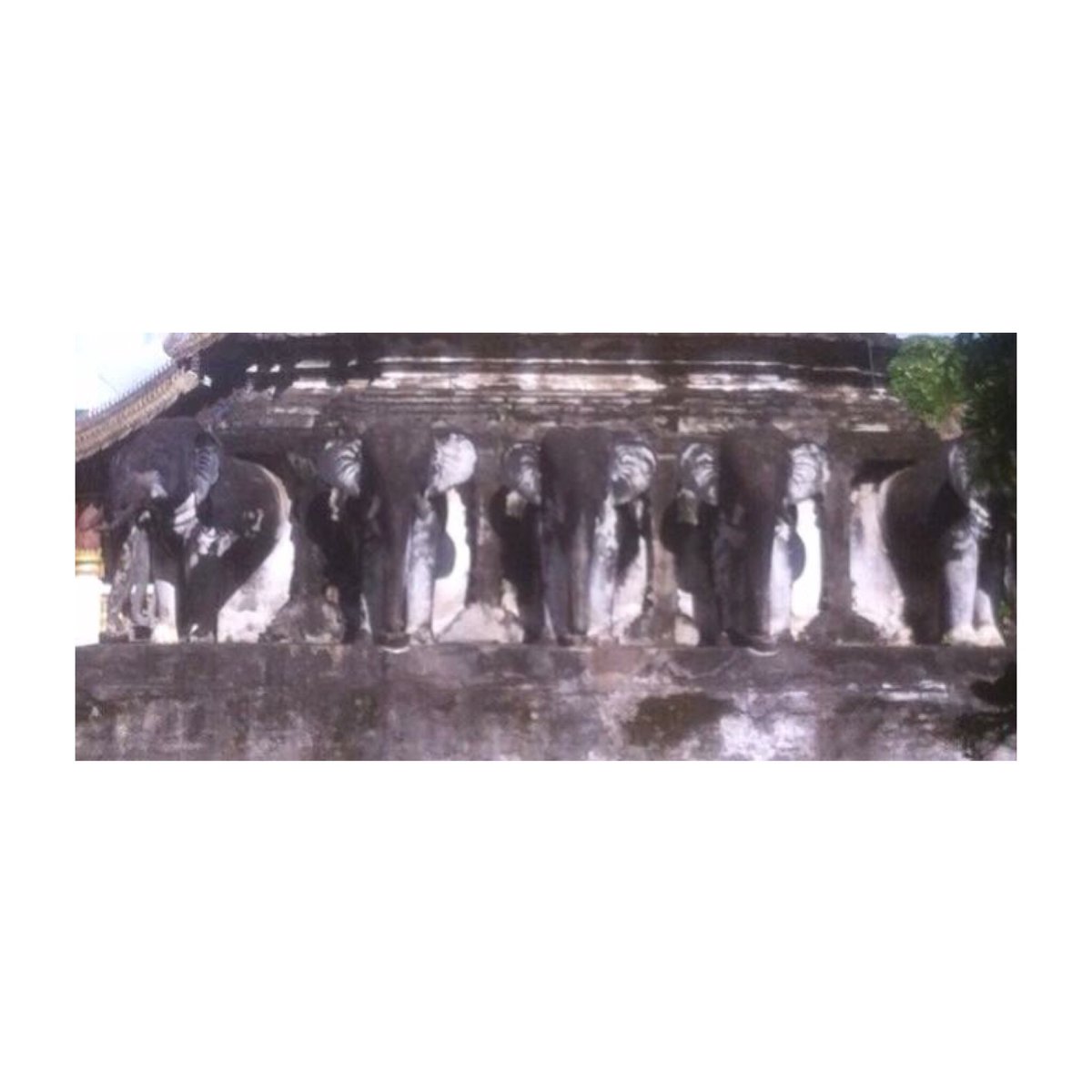 The oldest temple in #Chiang Mai is #WatChiangMun aka #WatChiangMan #วัดเชียงมั่น . Built by King Mengrai in 1296AD. Look out for the 15 elephant portico #ChangLomChedi .