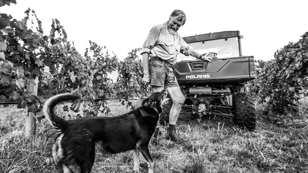 One of our growers' dogs, working (almost) as hard as he is.