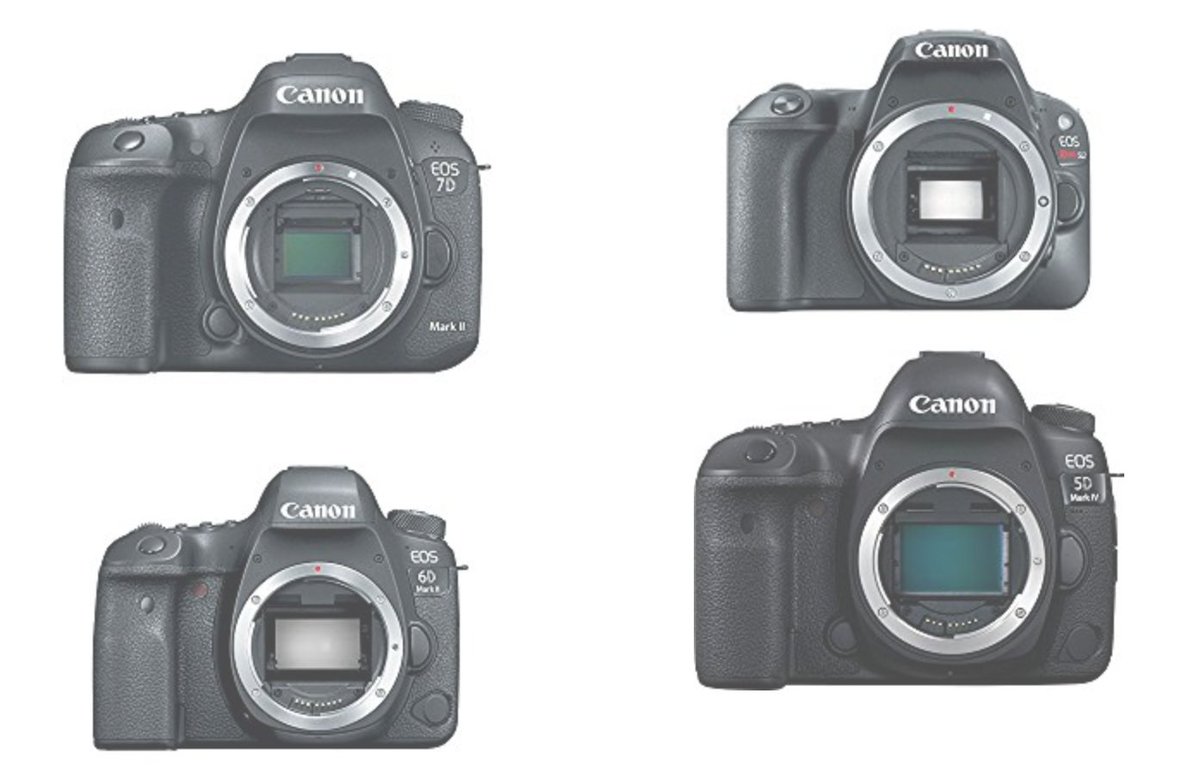 StoreCory's tweet image. For me information of these amazing cameras check out this link corysamazonstore.weebly.com #canon #cameras @photograpy