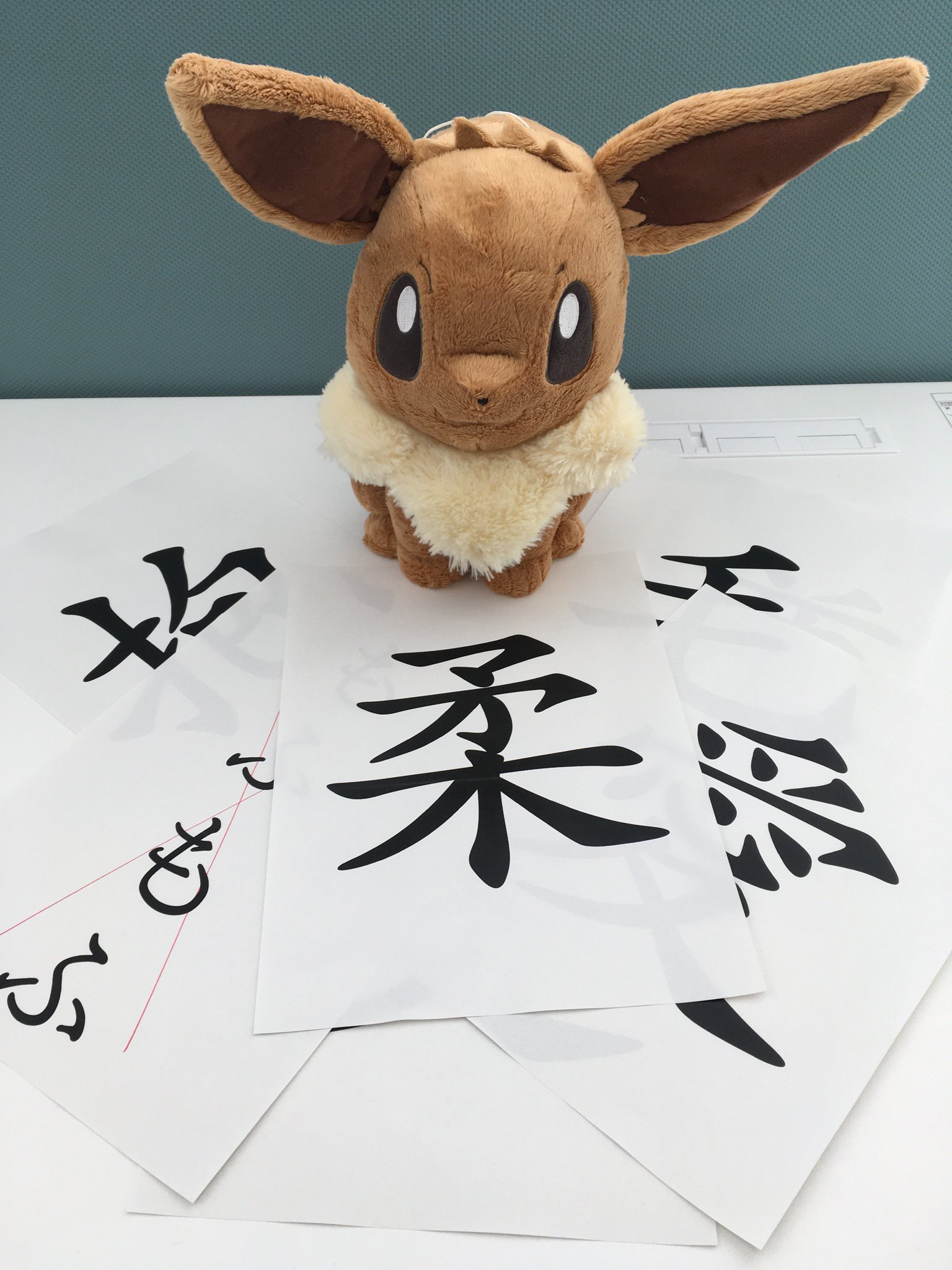 公式 プロジェクトイーブイ 続 イーブイを漢字一字で表すと 担当が選んだのは 柔 だって やわらかくって もっふもふで だきしめて ねるときも じゃろ もふ ハッ イケナイ 特性 てきおうりょく で 柔 軟性にも優れているから 公式 プロジェクトイーブイ 続 イーブイを漢字一字で表すと 担当が選んだのは 柔 だって やわらかくって もっふもふで だきしめて ねるときも じゃろ もふ ハッ イケナイ 特性 てきおうりょく で 柔 軟性にも優れているから
