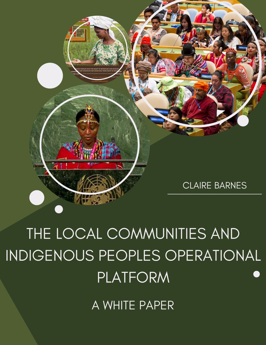 copadventures23's tweet photo. Check out my white paper on the local communities and indigenous peoples platform! #EmoryCOP23 You can find this on my blog as well~ https://t.co/Do4pEMJXTS https://t.co/J8CGzsn8CF