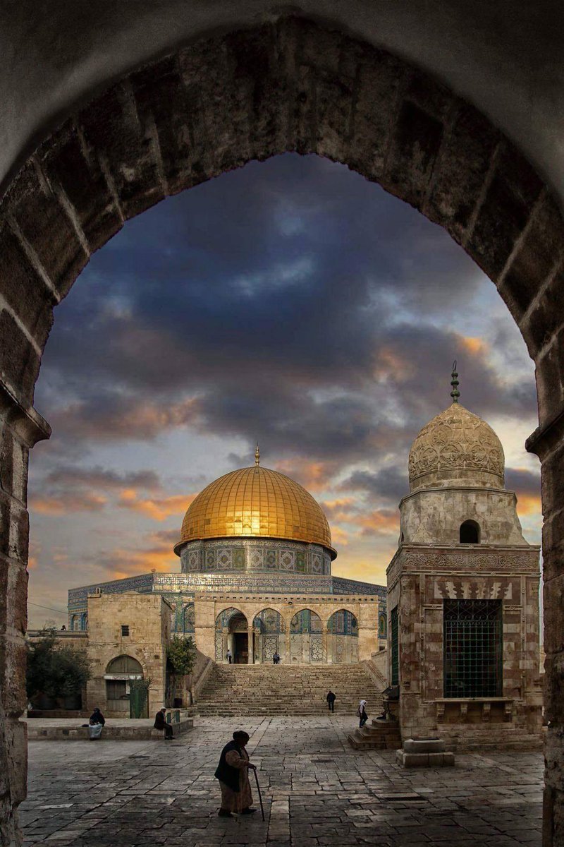 Tabaklarınızda bir parça bal mı kaldı, kovun sinekleri tabaklarınızdan, koruyun balı. Bağlarımızda üzüm salkımları mı kaldı, kovun tilkileri ey bağ bekçileri, kovun ki, üzümler olsun... 
#günaydın #Filistin