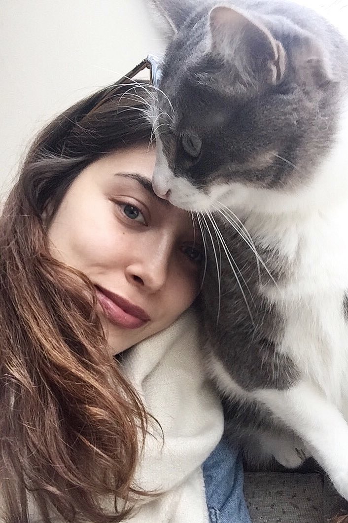Ceren on Twitter "boş zamanlarımda kedi yakalayıp selfie çekiyorum