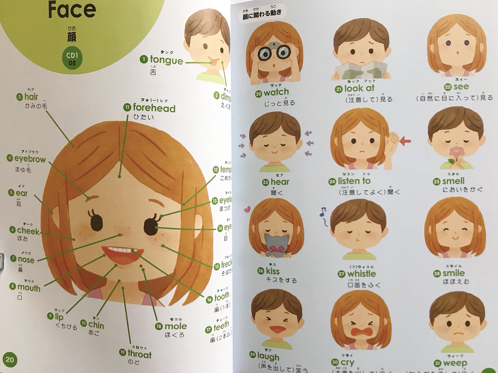 はっとりななみ お仕事 学研プラス はじめて英語図鑑 の体のパーツのページを見開き4p担当しました T Co 04um7r4azt オールカラーで素敵なイラストレーターさんのページが盛りだくさんで超豪華 是非お手に取ってみて下さい T Co
