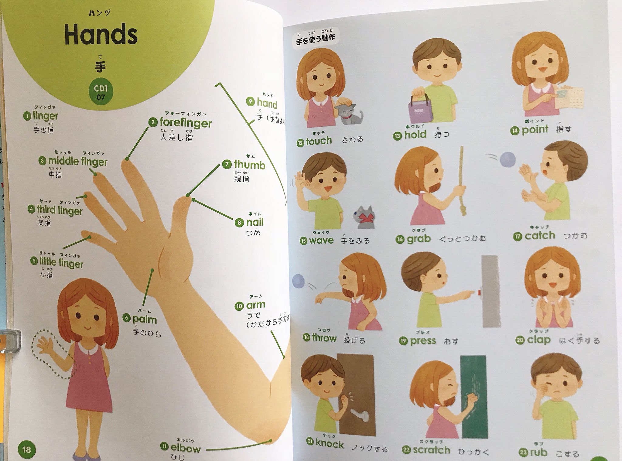 はっとりななみ お仕事 学研プラス はじめて英語図鑑 の体のパーツのページを見開き4p担当しました T Co 04um7r4azt オールカラーで素敵なイラストレーターさんのページが盛りだくさんで超豪華 是非お手に取ってみて下さい T Co