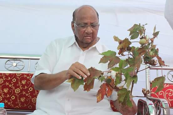  Happy birthday to One of the finest leaders of Indian politics Padmvibhushan Sharad Pawar Saheb 