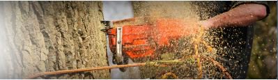 NSWTreeManageme's tweet photo. When looking for a #TreePruningService in #Sydney, NSW #Tree Management is the right choice for you. Get in touch with us at: 1800 679 8733.https://t.co/Lq1FekWXVm https://t.co/ltwo48G6lF