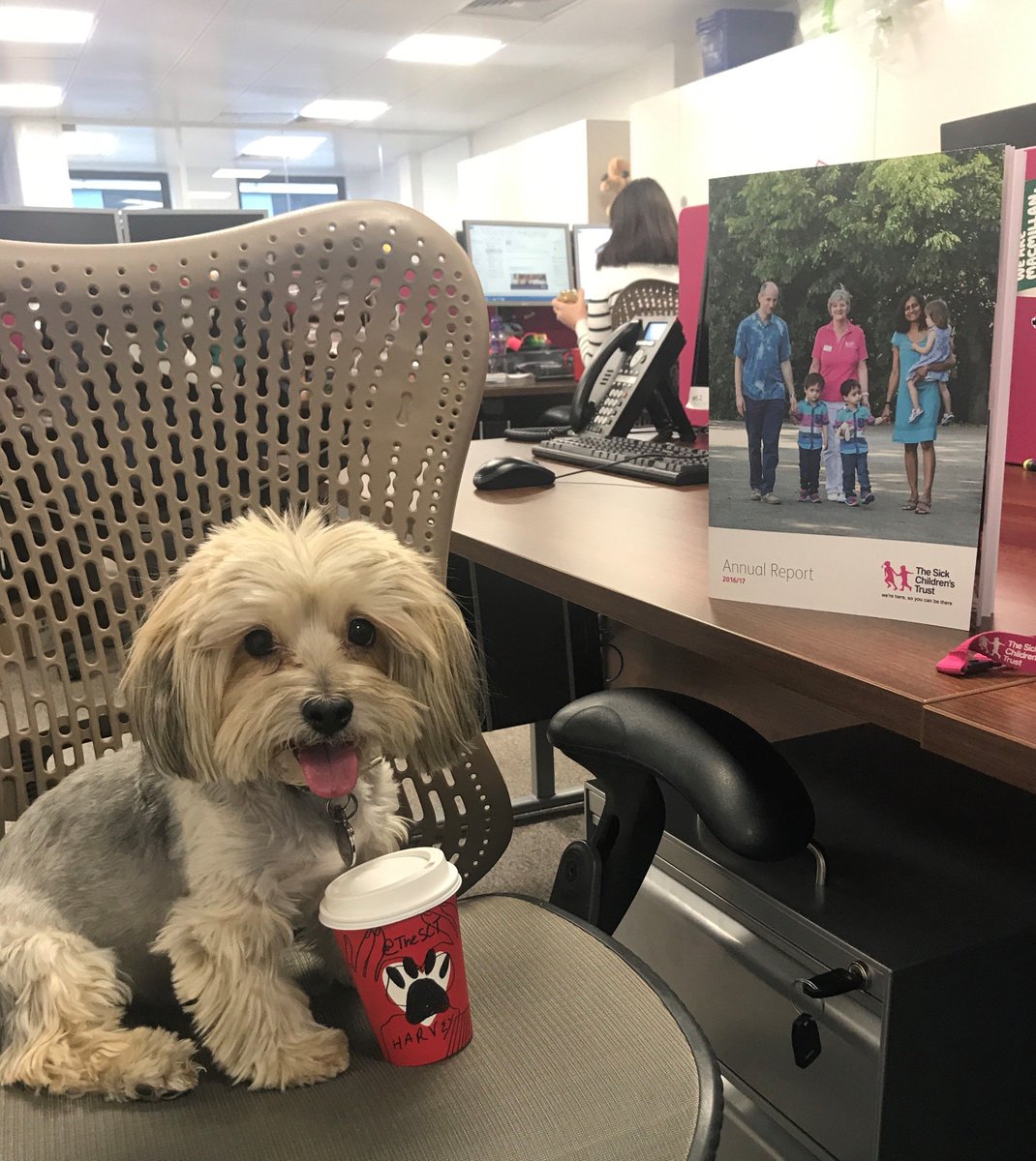 TheSCT's tweet photo. Harvey brought his Puppocino into Head Office this morning to help @TheSCT win a £2000 grant from @Starbucks! #CheerForGood #starbucks #dogs #Christmas https://t.co/GRY9rhkH83