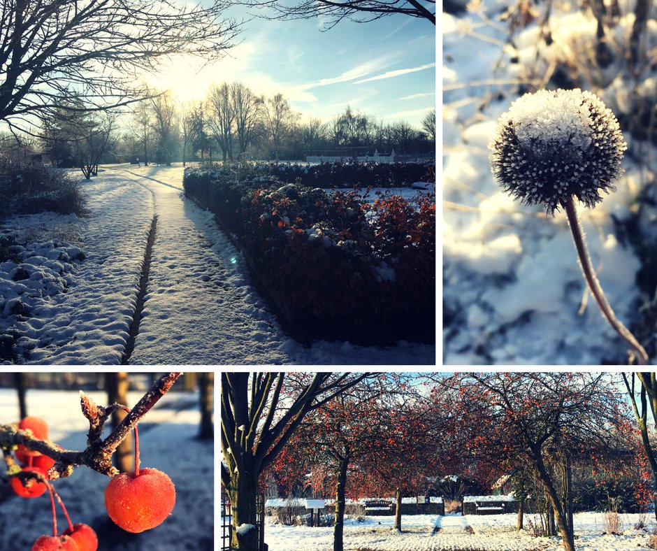 The gardens this morning, looking #beautiful in the #frost ❄️❄️❄️
