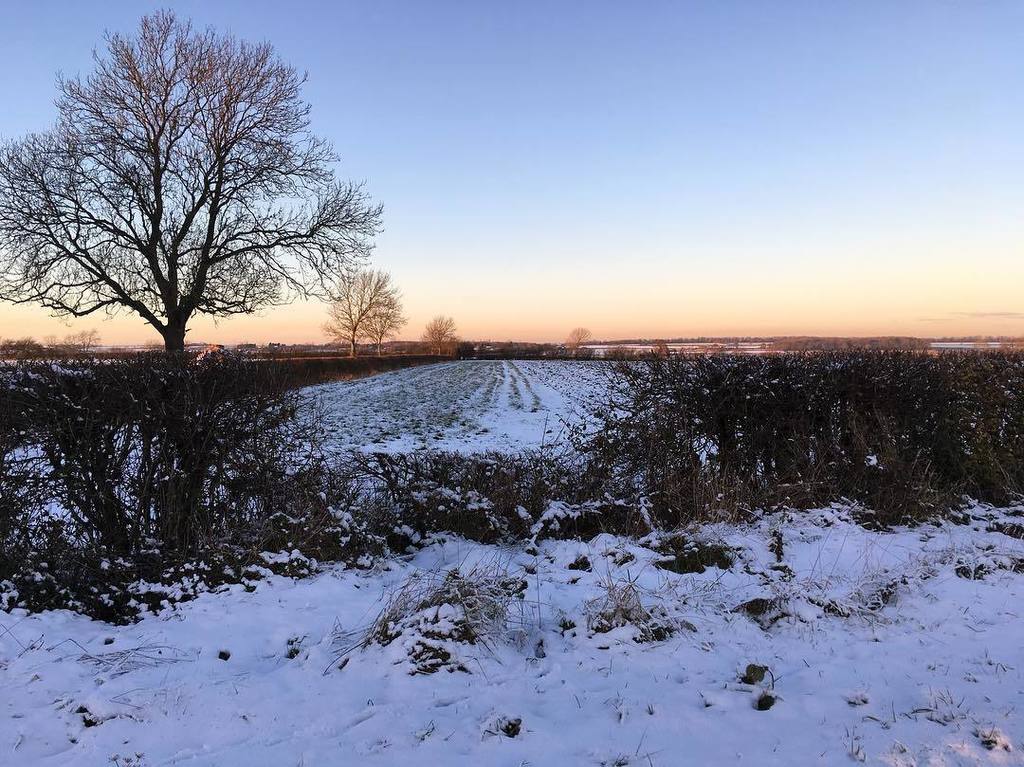 kgimson's tweet photo. Frozen fields. Top of garden #inavaseonmonday photo no.16 #linkinbio #bramblegarden #instagood #instagram #instadaily #snow #uksnow #mygarden #country #countrygarden #wild #cathy #ramblinginthegarden #meme https://t.co/Ru2VdbQdld https://t.co/1t4WmkfEcd