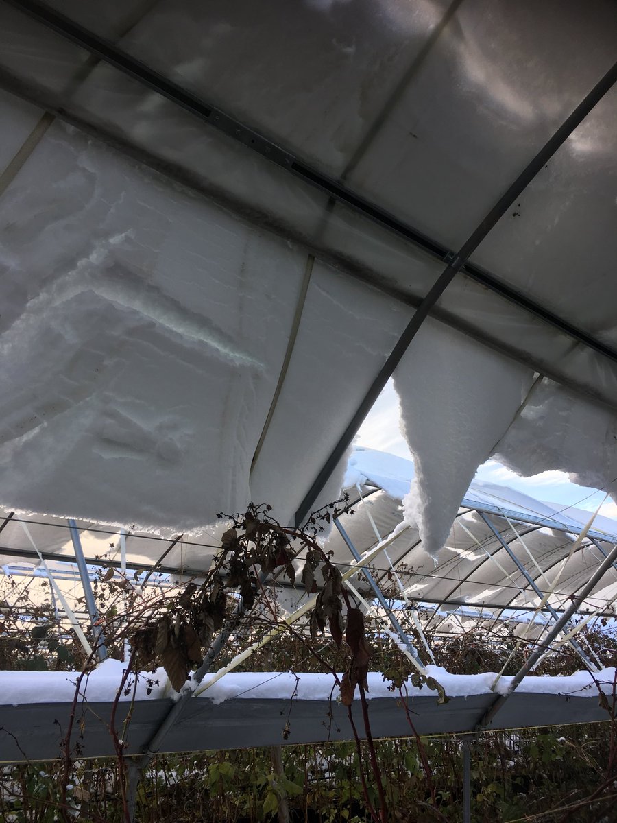 andrewmr125's tweet photo. Just a little snow hanging from our tunnels. https://t.co/5PpKOymCxr