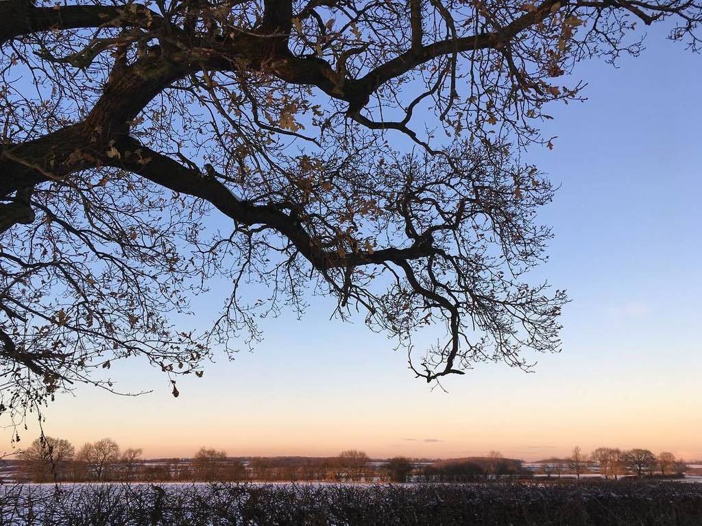 kgimson's tweet photo. View from garden #inavaseonmonday #bramblegarden #linkinbio #countrygarden #country #snow #instadaily #instagram #instagood #wild #cathy #ramblinginthegarden #meme #joinin #countryside https://t.co/YqcVYKua9z https://t.co/eZan5iGE57