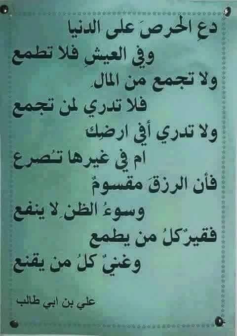 yusra63 tweet picture