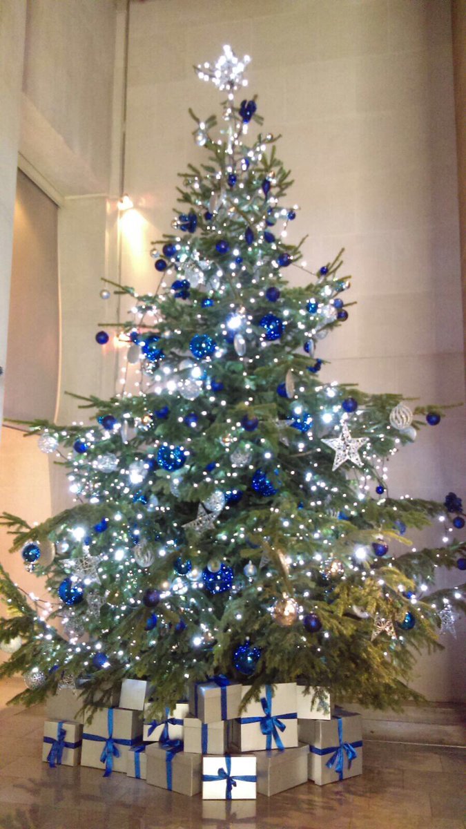 Our #Christmas tree installations 🌲