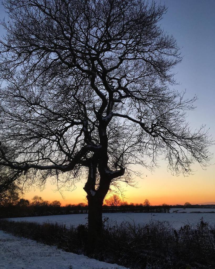 kgimson's tweet photo. A walk to the village. photo no.18 words at #inavaseonmonday #bramblegarden #linkinbio #instadaily #country #countrygarden #mygarden #instagood #instadaily #instagram #instaphoto #snow #uksnow #cathy #ramblinginthegarden #meme #joinin https://t.co/g0ngCpzILl https://t.co/JJwL61r9F4