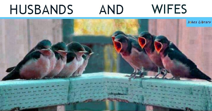 Jokes_Library's tweet image. Argument of couples🤣🤣🤣
 #FunniestMeme2017  #husbandandwife #arguments  #couples_lover