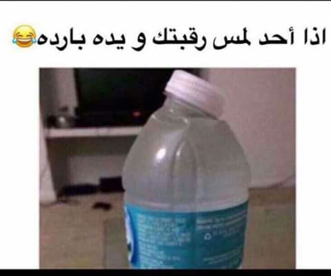 sedaaaood's tweet image. 