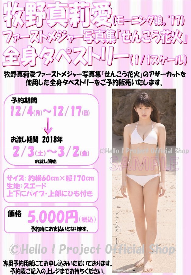 牧野真莉愛 せんこう花火 タペストリー | cair4youth.com