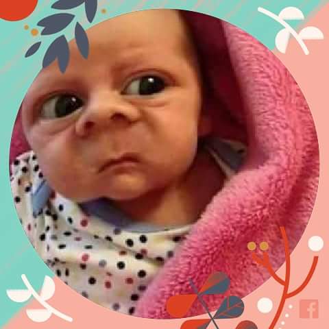 NmNathi333's tweet photo. #hard2 wk up https://t.co/aTBGuXwpdu