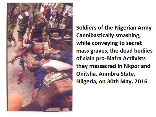 Not less than 2000 unarmed and defenseless civilians were killed or died in the custody of Army headed by so-called human rights defenders, Buratai.