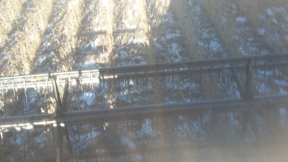 rip_vg's tweet image. If there is such a thing as a nice day to combine soybeans in December, that was yesterday! #nomud #nogreenstems #webeatthesnow  looks like we disturbed someone's feeding grounds.