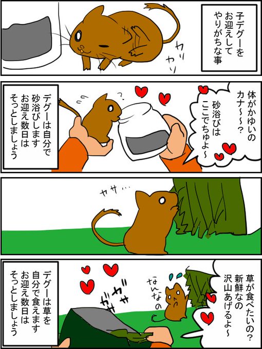 デグー を含むマンガ一覧 いいね順 7ページ ツイコミ 仮 デグー を含むマンガ一覧 いいね順 7ページ ツイコミ 仮