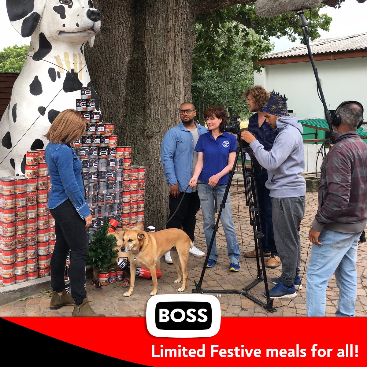 Getting into the festive spirit, we surprised DARG with meaty meals from our limited-edition #BOSSFestiveCollection. You too can help spread the festive cheer by donating cans and pouches to shelters in need this December youtu.be/kWZ7_k_8xtE