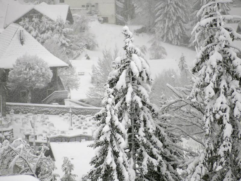 Snowfall continuing in #Chatel this morning - update online at chatelweb.com/chatel_snow_re…